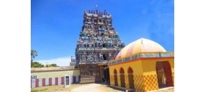 நாகை நீலதயாட்சி - தமிழ்நாடு